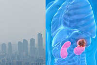 ̼   ջ ȭ  Ը ѼҾûҳȸ..