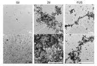 ���๰ ���� �����ķ� �������̸� ���� ���� 65% ���š�