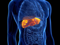 ���� ħ�� ���༺ ����, ������ ġ���ϸ� ������ �ö�