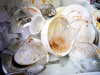 ������ �����Ƶ��� ��� �׸� �㰡�θ� �� �Ǵ� ����