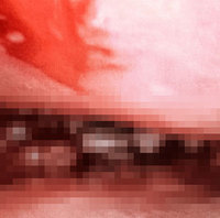 ���ڿ��� ġ������ �������� �߰ߡ��� 10�� �ҳ�, ���� ��δ�?