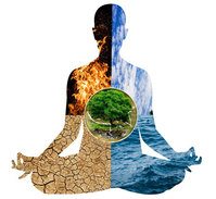 ���ַ� �˾ƺ��� 2026 �ǰ� ���?