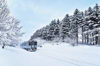 [��������] ��ĭ������ ������ �Ϻ� ��ȣ�� ���� ����