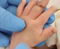 "���������ϴ� �Ż��� �հ��� �߶�" �� ��ȣ��, Ȳ�� �Ǽ��� ����..