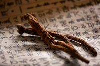 ���� ���忰 ȯ��, ���̰͡� �Ծ����� ���� �� ����