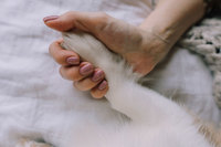 �ݷ����� ���� ����, ���� �纰�� �ٸ��� �ʴ� [�۸۳ɳ�]