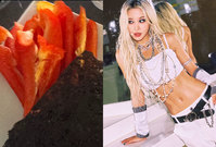 ���ְ� �� ����ΰ��� ���ּҳ� �ٿ�, ���� ���ġ� ��� �Դ�����..