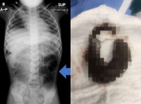 ���뺯�� �� �˾Ҵµ��� 6�� ���� ��ӿ��� ���� ���, ��ü��..