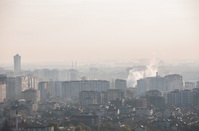 ������ ��� ���� �� ��Ը��� ���� 20~30% ����