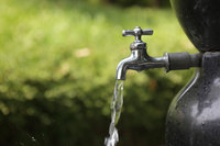 ������ �� '�� ����' ������, IQ�� ����