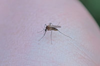 "��� �� �濡 ������"�� �ݷҺ�� Ȳ�� Ȯ�� '���'