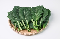 ���ñ�ġ���� ���ơ� �� �ǰ��� �ְ���� ���� ä�ҡ�, ����?