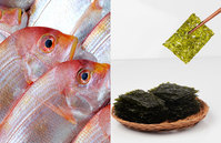 ���� ���ְ� �Ƿ� �ؼ� ȿ������ �ؾ����ΰ� ������ ���̴��� ..