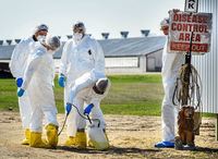 �����ҿ��Ը� ������ ������ ���̷����� 2���� �η� �����ұ�