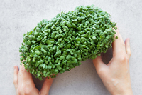 ���̰͡� ���� ������, ���� ��� �������ٴ����� ��ü ����?