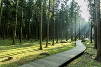 �� ��ó�� ���̰͡� ������ ����� ���� ����