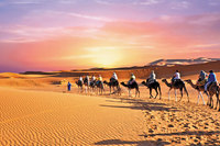 [��������] ī�����ī�� �θ��� ����� ���� 13��