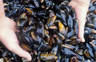 "�ٴ尡���� ĳ ���� ������"�� �ľ�ó, ��ö �з����� ���� ����..