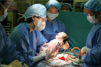 ���� �����