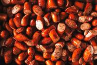 "���䡤�޽� �޴� ���� ��Ų��"�� �ľ�ó, ����������ü 860�� ��..