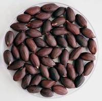 밥 지을 때 ‘이것’ 넣으면… 암 막고, 혈관 튼튼