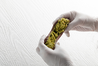 '두쫀쿠'서 식중독균 나왔다… 식약처, 위생불량 업체 81곳 적발