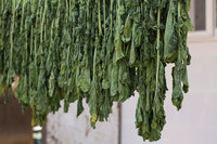 ����� ���� �� ���̰͡� �־�����, �� ���� ȿ�� ��