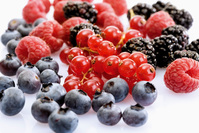 ������ �ǰ� �ʹٸ� ���̰͡� ì�� �Ծ��