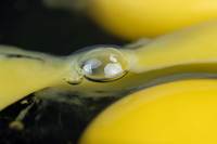 �Ӹ� �� �پ�� ��, �˰� ���� ���� ���� ���� ���ġ� ſ