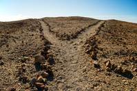 �λ��� �¿��ϴ� ���ÿ��� ��ȸ���� ��������