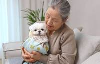 �ݷ��� Ű��� �ǰ����� � ����? ���� ��� ���ϡ�