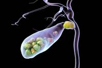 �� �ް��� ���� �㼮�� �����ϴٴµ��� ������� ���� ����������..