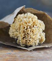 “지방 쌓이는 것 막는다” 꽃처럼 생긴 ‘토종 버섯’의 정체