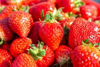 ��ȭ�й��� ������ �Ϲ��� ��� �ǻ簡 ����� 8���� ����, ����..