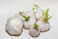 ���ڴ� �� ���� ���������, ������ ������?