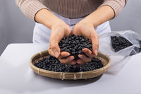 ������ ���̷��ԡ� ������ �� ���� �� ū ����