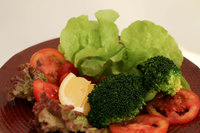 ��ä�ҵ� ä�� �������� ���� ���� �� �Ծ�� �ϴ� ä�� 5����, ..