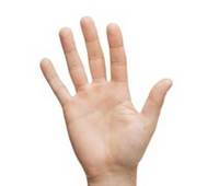 ���� ���� ���� �� ���Ǹ�, ���ݼ� ����