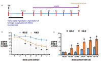 “수술 없이 ‘코’로 줄기세포 전달”…​ 외상성 뇌손상 치료 ..