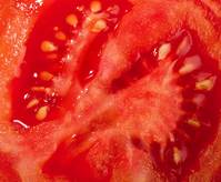 ���ῡ ������ Ը �� �� �ִ� ���ǿ��� ���� 4������