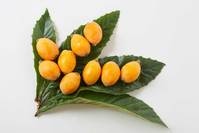 ������� ����ü�� ������ ���١� ��������û ��õ ���� �Ĺ���..