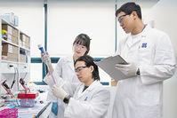 ���ٴ�, ���� �ž� ���� ���ߡ� ���� ���� ������