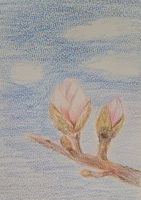 ���� ���������� �����մϴ� [�ƹ̶�]