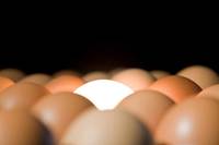 ������ ������ ���� ����, ���� ���ġ� ������ ��~