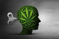 ���Ƿ�� �븶, ������ȯ ġ�� ȿ�� ���� ��� ���� ���