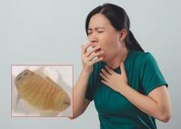 ��ä���ϴ� ������ ���� ��ӿ��� ���ĸ� ���桯 Ű�� 50�� ҳ, ..