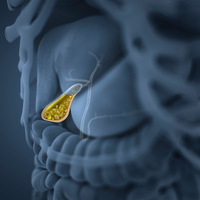 �ǰ��������� �߰ߵ� ���㼮��, �� ������ �ұ�?