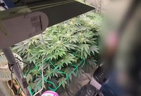 ������������ ���ࡱ ���� ���� �޾� ���븶�� ����� 40�� ��