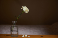 국가유공자 고독사 예방 법안 발의… "사각지대 해소"