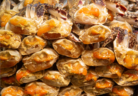 ������ ������� �Դ´١��� ġ���ǻ絵 ���� ���ġ����� ���Ѵ�..